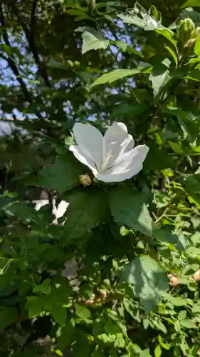 梨木神社(京都府)