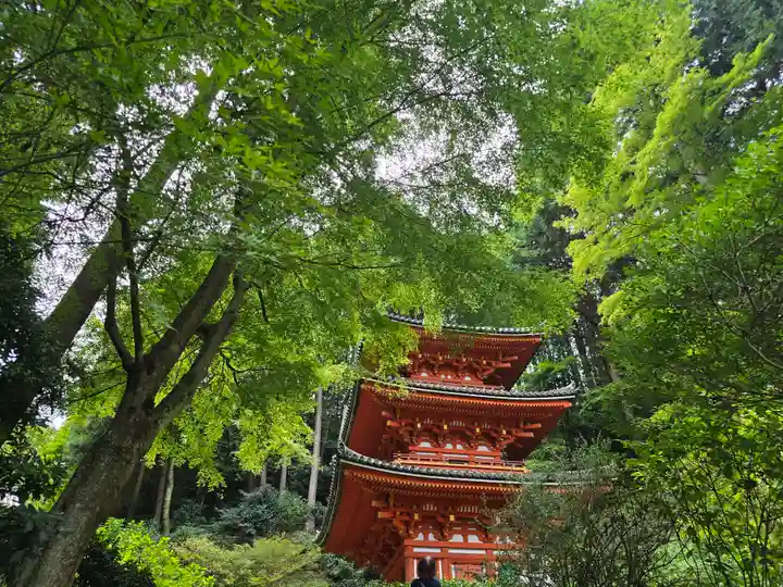 岩船寺(京都府)