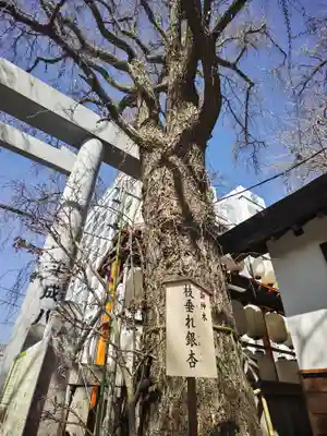 波除神社（波除稲荷神社）(東京都)