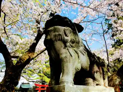 八坂神社の狛犬