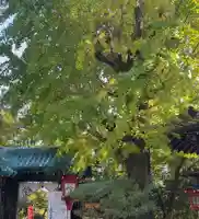 松ヶ崎大黒天 妙圓寺(妙円寺)(京都府)