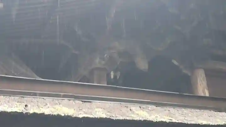 手力雄神社の芸術