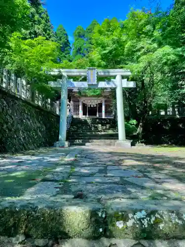 国造神社の鳥居