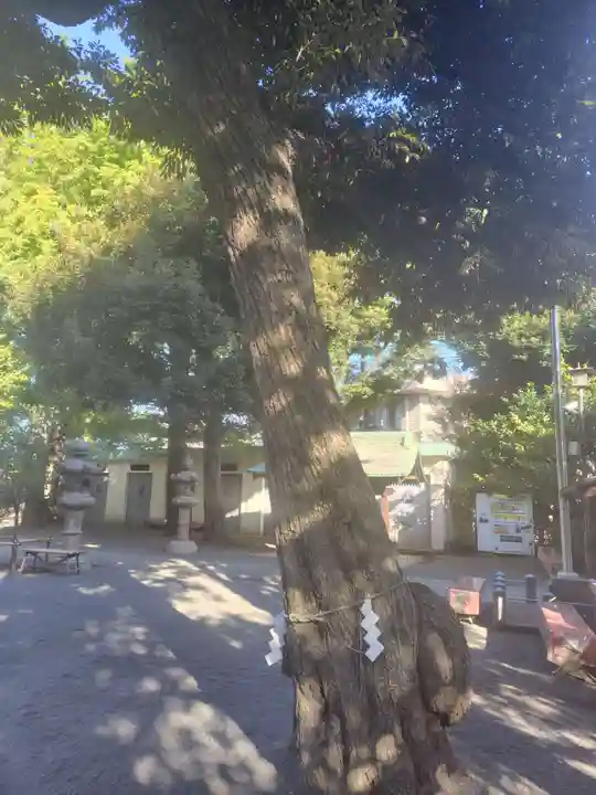七社神社(東京都)