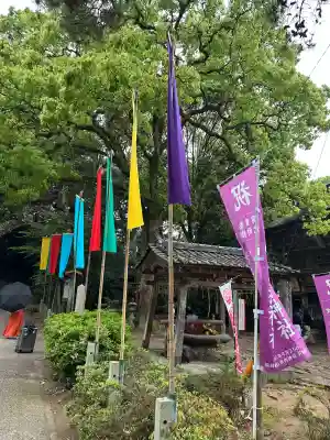 櫻井神社の{uncategorized: "未分類", other: "その他", undefined: "問題あり", building: "その他建物", grave: "お墓", sacred_gate: "鳥居", guardian: "狛犬", statue: "像", buddha: "仏像", history: "歴史", nature: "自然", garden: "庭園", animal: "動物", pagoda: "塔", temizu: "手水舎", mountain_gate: "山門・神門", sanctuary: "本殿・本堂", subordinate: "末社・摂社", art: "芸術", scenery: "景色", jizo: "地蔵", ema: "絵馬", goshuin: "御朱印", omikuji: "おみくじ", items: "授与品その他", amulet: "お守り", goshuincho: "御朱印帳", eats: "食事", festival: "お祭り", votive_dance: "神楽", shichigosan: "七五三参", wedding: "結婚式", experience: "体験その他", initially: "初詣", around: "周辺", anti_infection: "感染症対策"}