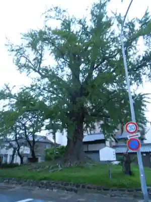 津島神社 御旅所跡(愛知県)
