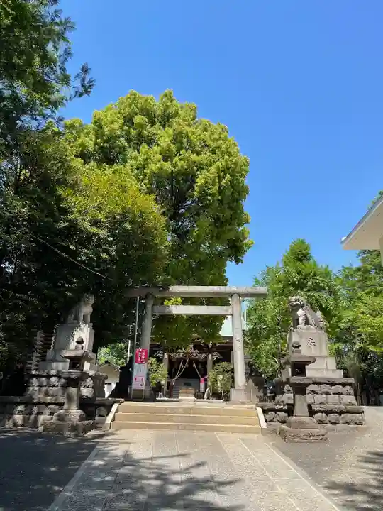 諏訪神社の鳥居