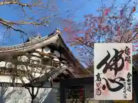 高台寺(高台寿聖禅寺・高臺寺)の御朱印