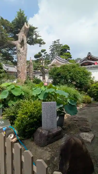 華蔵院(華藏院)(兵庫県)