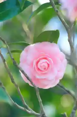 浄土寺(兵庫県)