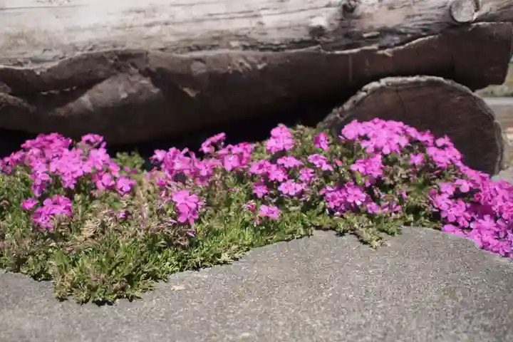 八阪神社の自然