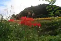 高司神社〜むすびの神の鎮まる社〜の周辺