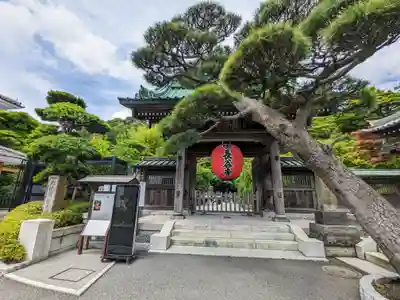 長谷寺(神奈川県)