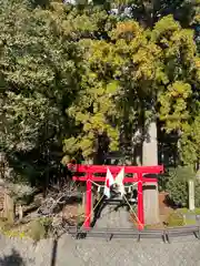 須山浅間神社(静岡県)