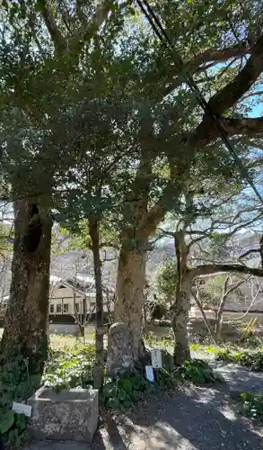 山神社(静岡県)