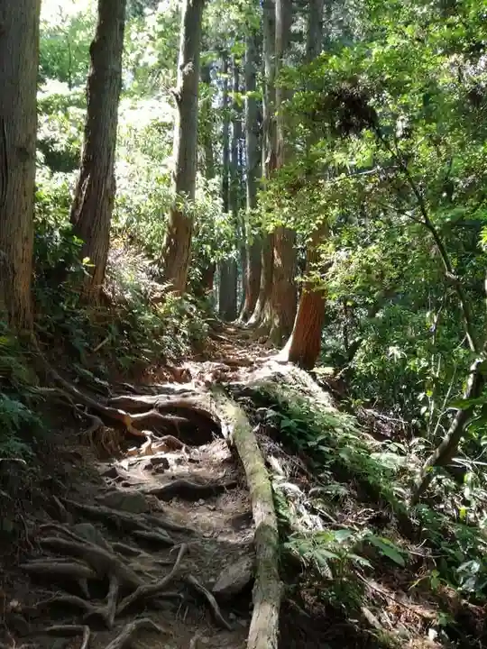 御岩神社の自然
