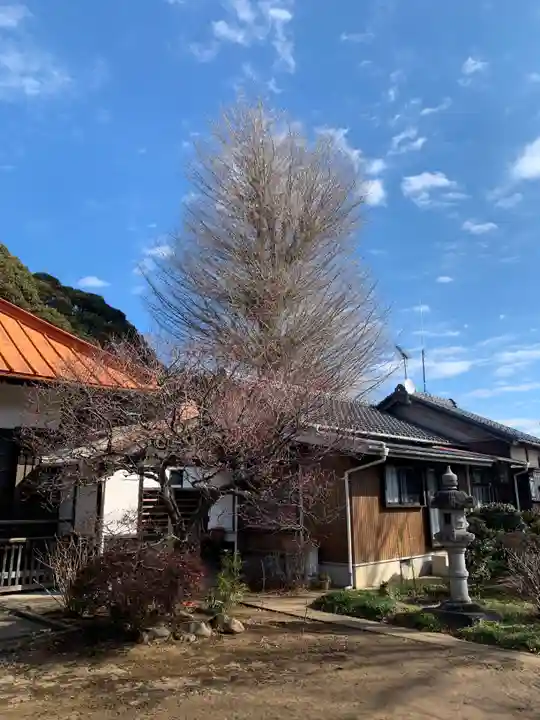 千手院のその他建物