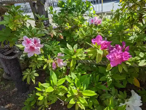 六孫王神社(京都府)