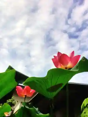 宗延寺(東京都)