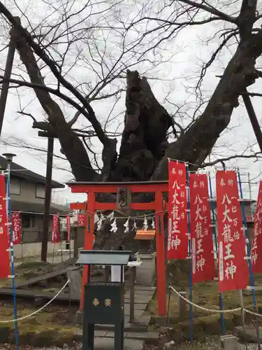 秩父今宮神社の鳥居