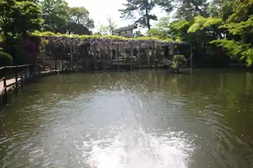 越ヶ谷久伊豆神社(埼玉県)