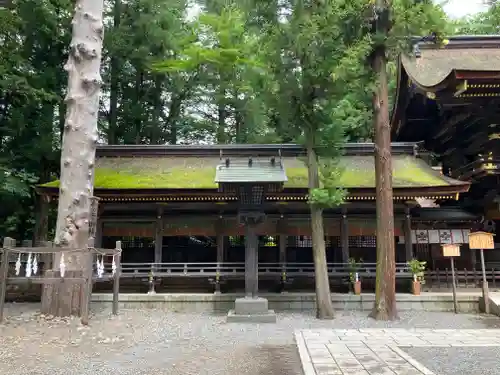 諏訪大社下社春宮(長野県)