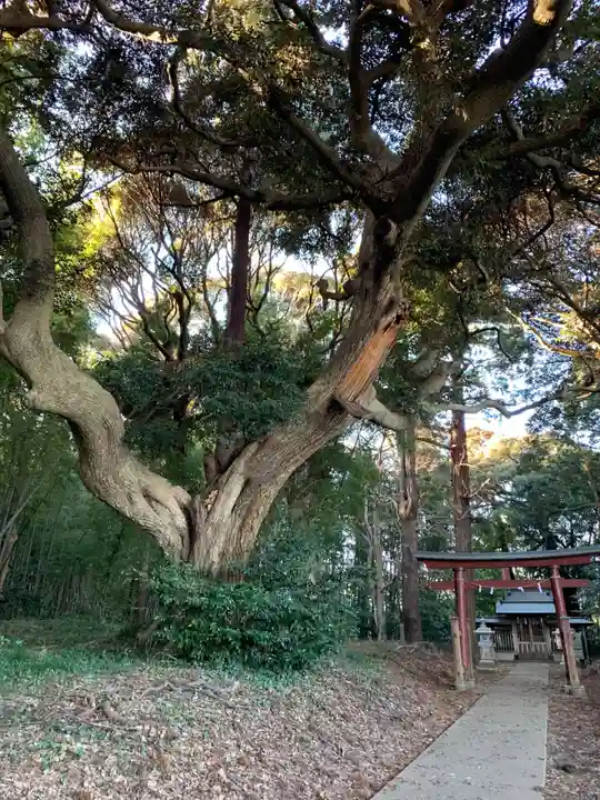 八幡神社(千葉県)