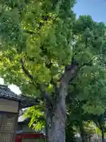 宇美神社(島根県)