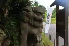 阿久津「田村神社」（郡山市阿久津町）旧社名：伊豆箱根三嶋三社の狛犬