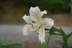 和田神社の自然