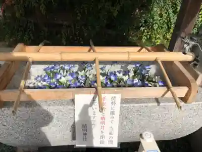 晴明神社の手水舎