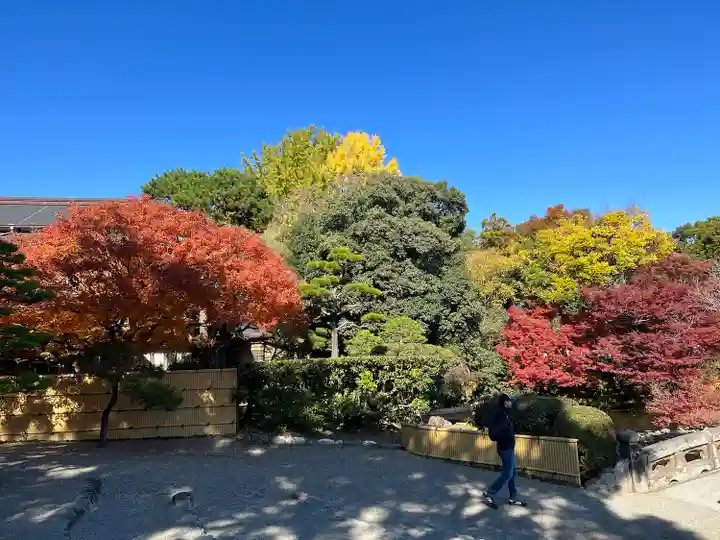 出水神社(熊本県)
