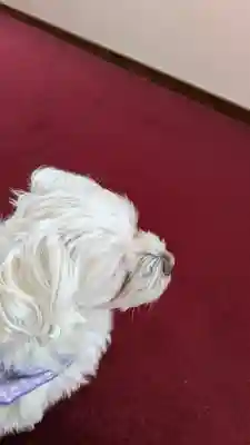 本昌寺(京都府)