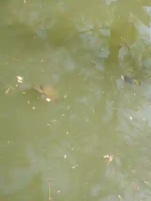 備中国總社(岡山県)