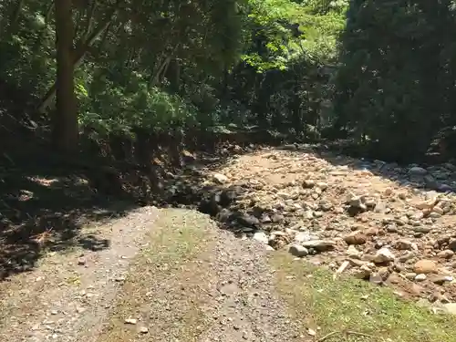 韓竈神社の自然