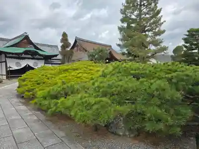 大覚寺(京都府)