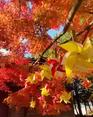 滑川神社 - 仕事と子どもの守り神(福島県)