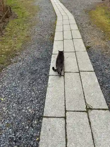 鷲子山上神社の動物