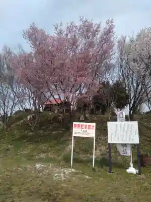 白九頭龍古墳(宮城県)