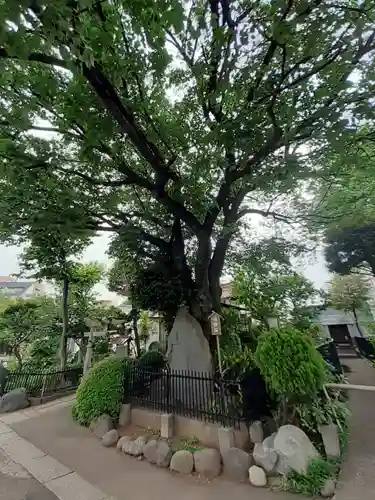 白山神社(東京都)