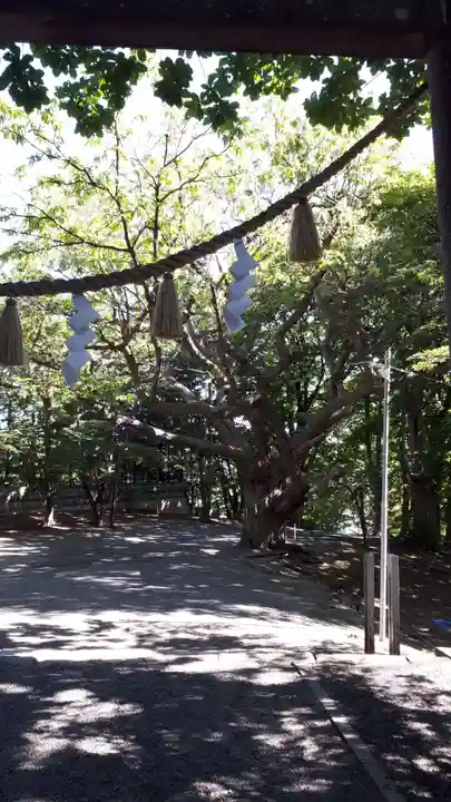 相馬神社(北海道)