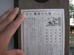 豊川閣　妙厳寺のおみくじ