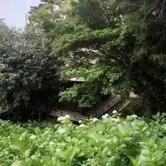 性海寺の自然