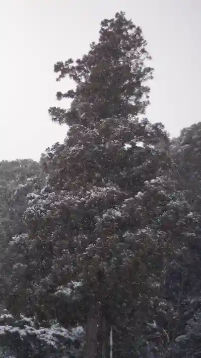 松尾大社(京都府)