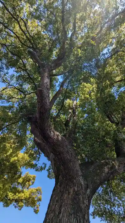 玉田神社(京都府)