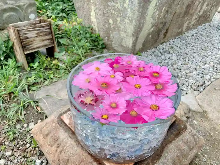 般若寺 ❁コスモス寺❁(奈良県)