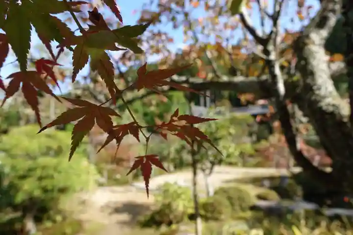 実光院の本殿・本堂