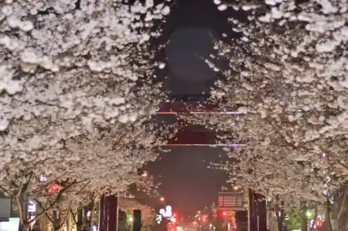 鶴岡八幡宮の自然