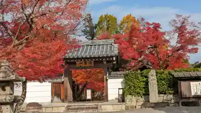 圓成寺(岩戸妙見宮)(京都府)