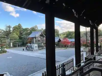 光明寺（粟生光明寺）(京都府)